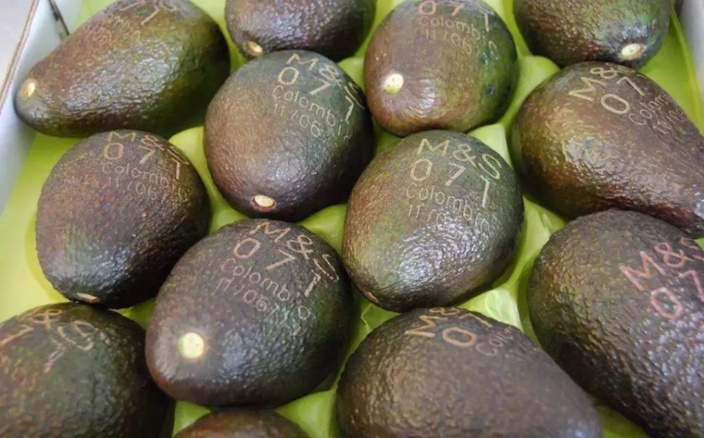 Marking Traceability Codes on Avocados